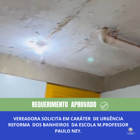 Vereadora solicita em caráter de urgência reforma dos banheiros da Escola Municipal Professor Paulo Ney