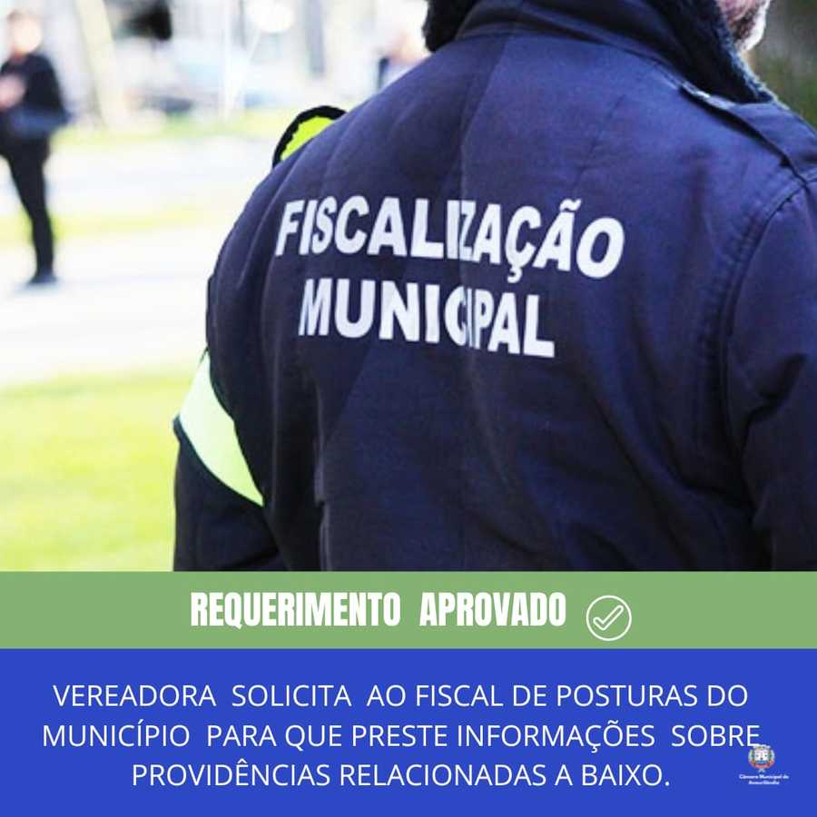 Vereadora Solicita ao Fiscal de Posturas do município para que preste informações sobre providências relacionadas a baixo.